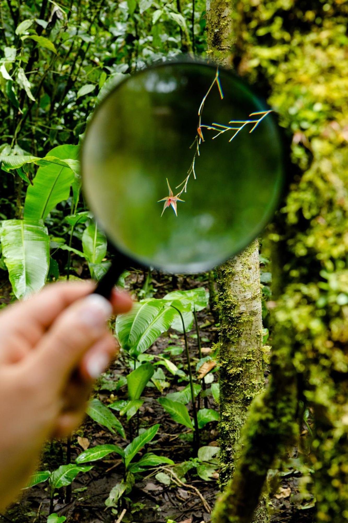 Inkaterra Machu Picchu Pueblo Hotel Eksteriør billede